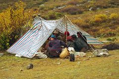 07 Yaks and Yak Herders Camp At Dhampu Tibet.jpg